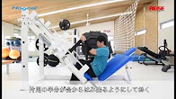 Hogurel レッグプレス（太もも）